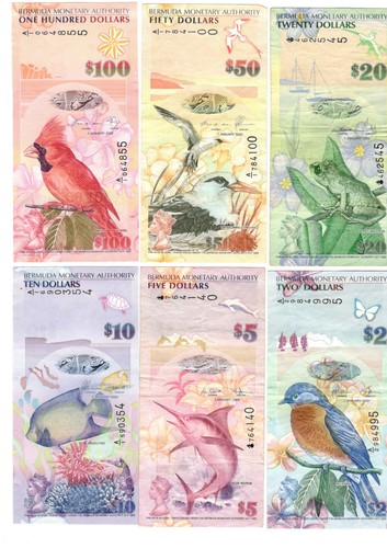 2009 bermuda 100 dollars - 2009,