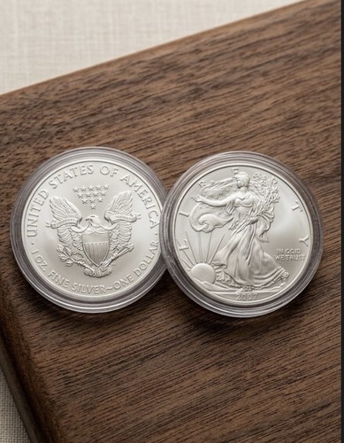 Usa american silver - silver, eagle