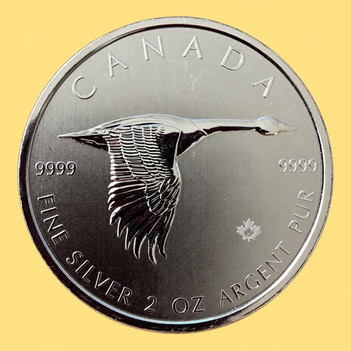 Kanada gans 2020 - gans, 2