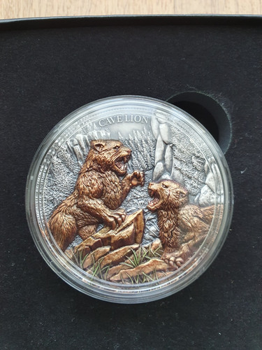 Dollar megafauna - 25,